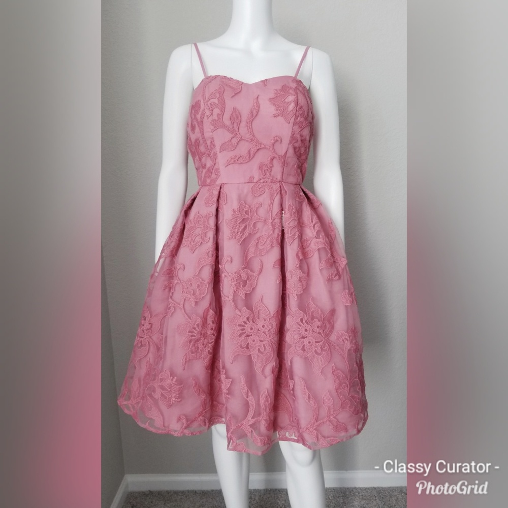 NWT Gorgeous rose burnout embroidered mesh dress - Picture 2 of 6